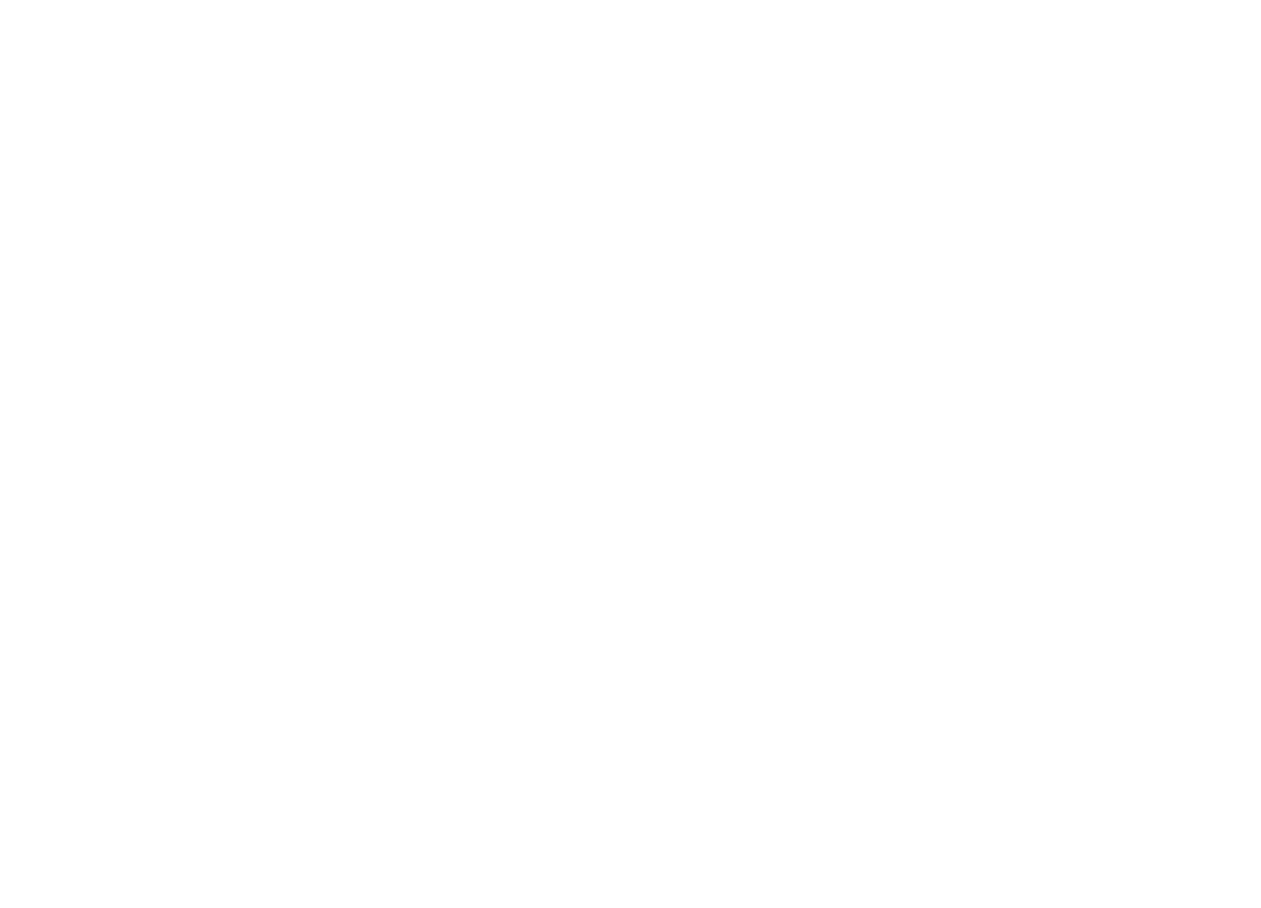 eCash Primary Vertical white